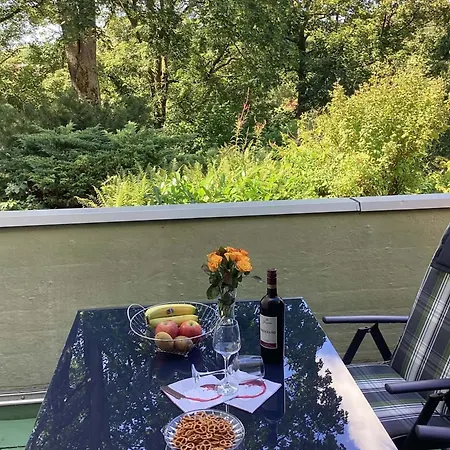 Harzer Sonnenbaum Sankt Andreasberg